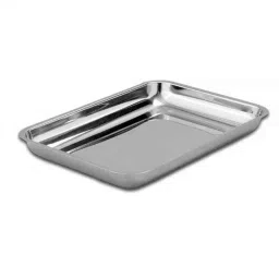 Rasayan 6x9cm Stainless Steel Surgical Lab Tray without Cover-25