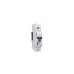 Legrand 40A DX³ Single Pole D Curve MCBs for AC Applications, 4087 20, (Pack of 10)-picture-7