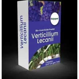 Katyayani 1L Verticillium Lecanii Bio Pesticide, K-249 (Pack of 3)-23