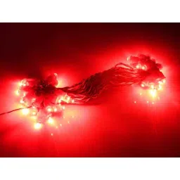 Tucasa Red Open Lid Capsule LED String Light, DW-273 image 2