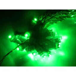 Tucasa Green Open Lid Capsule LED String Light, DW-274 image 3