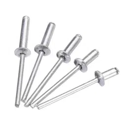 Rpi Shop 6.4x25mm Blind POP Rivet for Riveting Gun &a; Machine (Pack of 300)-picture-48