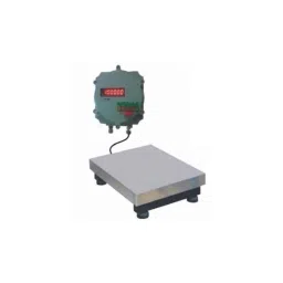 Aczet CTG 300F Mild Steel Flame Proof Platform Scale, Capacity: 300 kg-picture-30