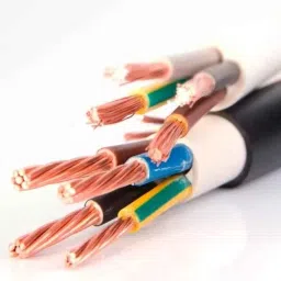 Polycab 1 Sqmm 6 Triad Individual &a; Overall Shielded Unarmoured Cable, Length: 1 m-picture-2