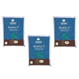 Utkarsh Beveroz-P 1kg Beauveria Bassiana for Plants, Crops &a; Home Gardening (Pack of 3)-image-80