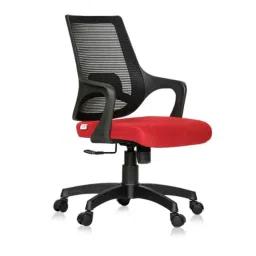 Da URBAN Vasto Red Mid-Back Revolving Mesh Ergonomic Chair for Home &a; Office-picture-24
