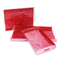 iLife 3 Pcs 4mm Acrylic Strawberry Serving Tray Set-picture-20