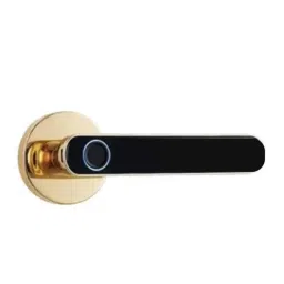 Golens X43 Fingerprint Smart Digital Door Knob Lock-picture-14