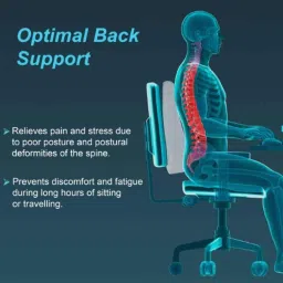 Tynor Back Rest, Size: Universal image 2