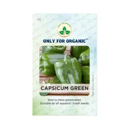 Only For Organic 20g Green Capsicum Vegetable Seeds, OFOPPCAG0020-image-96
