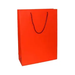 Aspen Matte Laminated Red Paper Bag, AC-029-020 (Pack of 96)-image-23