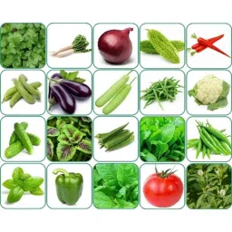 Aero Seeds 150g 20 Varieties 1520 Vegetable Seeds, Aero-Veg-20-image-13