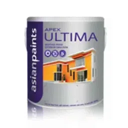 Asian Paints Apex Ultima 900ml Exterior Wall Paint, HQ 16-picture-13