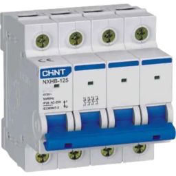 Chint NXHB-125 125A 4P Isolator, 193193-picture-41