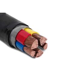 Havells 500 Sqmm Double Core Unarmoured Low Tension Power Cable, A2XY, Length: 100 m-picture-44