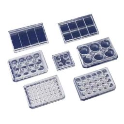 Lab Plus Multi Dish for Suspension Cells, LP-1764 (Pack of 75)-21