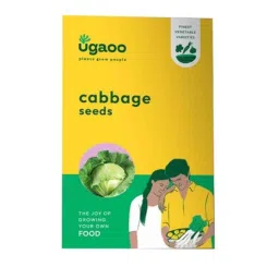 Ugaoo 25g Vegetable Cabbage Seeds, NUVSO097-image-20