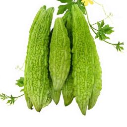 Only For Organic 50g Bitter Gourd Seeds-image-35