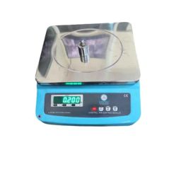 Oritek 290x230mm Mild Steel Table Top Weighing Scale, Capacity: 10 kg-picture-20
