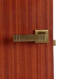 Homexpert Spacio Stainless Steel Antique Brass Finish Heavy Duty Mortise Door Lock Set with Bolt-image-71