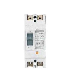 Chint NM8N-125R TM 63A Double Pole Moulded Case Circuit Breakers, 271697-picture-19