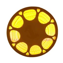 LumoGen Amber LED Rope Light, Length: 25 m-42