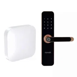 Dorset Steel Rose Gold Finish Smart Door Lock with System, DG 203 IRG-43