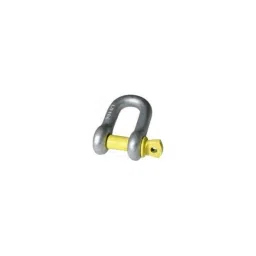 Wellworth 25 Ton D-Shackle Screw Pin-image-84