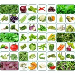 Aero Seeds 150g 50 Varieties Vegetable Seeds, Aero-Veg-50-image-11