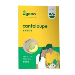 Ugaoo 25g Fruit Cantaloupe Seeds, NUVSO112-picture-27