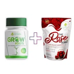 Go Garden 50g Grow Roots Dry Powder Rooting Hormone &a; 900g Rose King Fertilizer Combo-picture-6