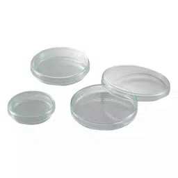 Lab Plus Synthetic Quartz Polishing Plate Square, Thickness: 1mm, LP-11420 (Pack of 5)-picture-11