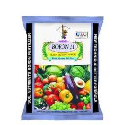 Agricare Boron 11 1kg 10.5% Borax Deca Hydrate (Boron) Powder-image-9