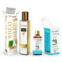 GoWoo 2 Pcs 10ml Natural Cajeput Aroma Oil &a; 100ml Wheat Germ Carrier Oil Set, GWOC238-P8+P185-picture-41