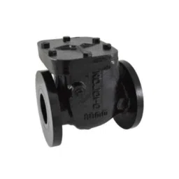 Zoloto 50mm Cast Iron Non Return PN 1 Flanged Valve, 1083-image-63