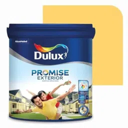 Dulux Promise 10 Litre Yellow Rose Gloss Finish Exterior Acrylic Emulsion Paint, FFD571-10-picture-32