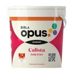 Birla Opus Calista Ever Stay 1 Litre Yellow Premium Interior Emulsion Paint-picture-7