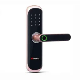 Golens X3 Alloy Steel 5 Ways Access Biometric Bronze Smart Digital Door Lock-picture-26