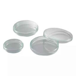 Lab Plus Standard Petri Dish, LP-1758-38