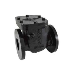 Zoloto 65mm Cast Iron Non Return PN 1 Flanged Valve, 1083-6