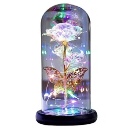Rashmi Traders Plastic Multicolour Decorative LED Light, 6980-11