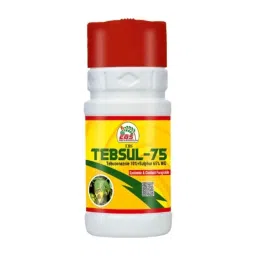 EBS Tebsul-75 250g Tebuconazole 10% &a; Sulphur 65% WG Fungicide for Wheat, Rice, Groundnut, Tea, Soybean, Banana &a; Coffee (Pack of 8)-picture-32