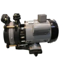 CG 1HP Single Phase Slow Speed Self Priming Monoset Pump, CGDMB10DX, Total Head: 16-42 m-picture-27