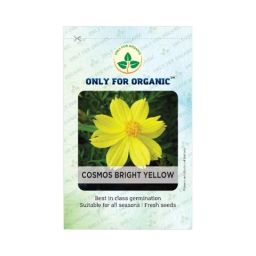Only For Organic 50g Yellow Cosmos Flower Seeds, OFOPPCOC0050-image-43