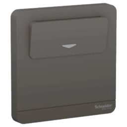 Schneider Electric AvatarOn 16A 250V Polycarbonate Dark Grey Card Switch, E8331EKT_DG-picture-36