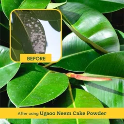 Ugaoo 1kg Neem Cake Powder, NUSM0015 image 2