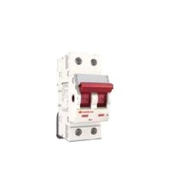Havells 100A 240V-415V Double Pole AC MCB Isolator, DHMZIDPX100-picture-47