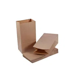 PRB Bags Brown Large Kraft Paper Bag (Pack of 50)-image-73