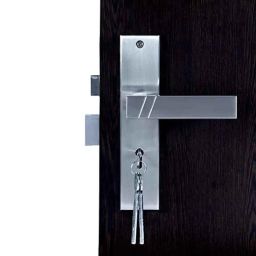 Voltizi ‎Sierra 8 inch ‎Stainless Steel 304 Satin Finish Heavy Duty Mortise Door Lock-image-83