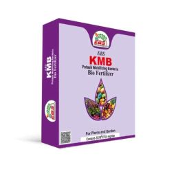 EBS KMB 1kg Potash Mobilizing Bacteria 5x10^8 CFU Bio Fertilizer for Plants, Crops &a; Home Garden (Pack of 5)-image-80